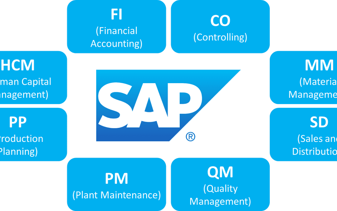 What is SAP Software?